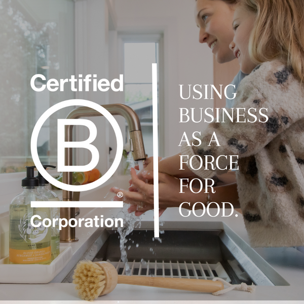 B CORP CERTIFIED: A Green Revolution for Businesses