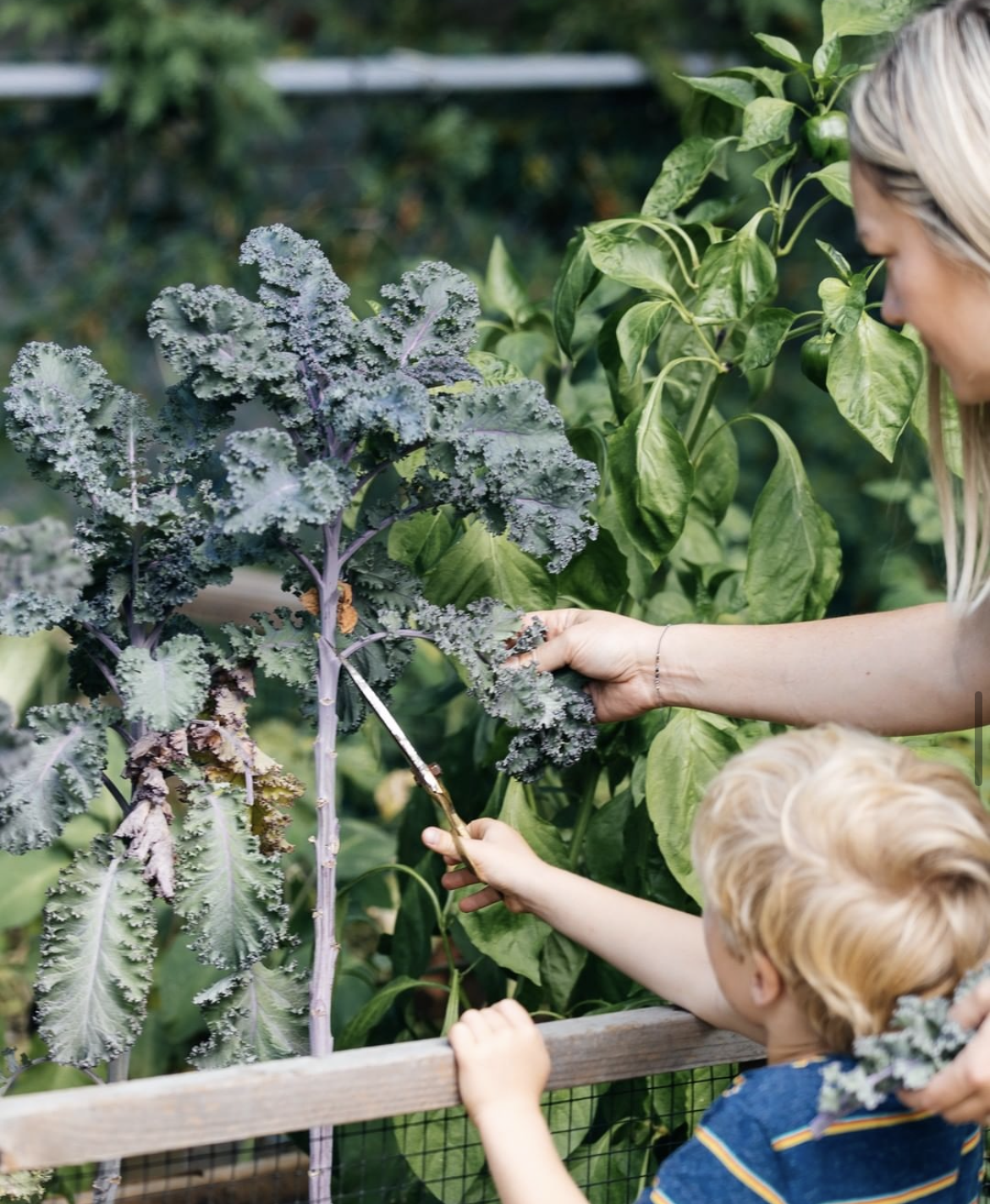 25 Eco-Friendly Tips to Celebrate Earth Month