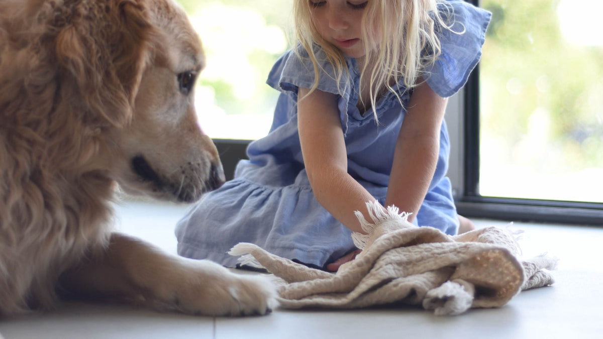 Progress, Together: How The Bare Home Communicates Change | Change & Evolution Part 3